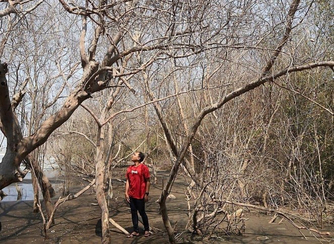 Rute Perjalanan Ke Pantai Muara Beting Rute Perjalanan Ke Pantai Muara Beting
